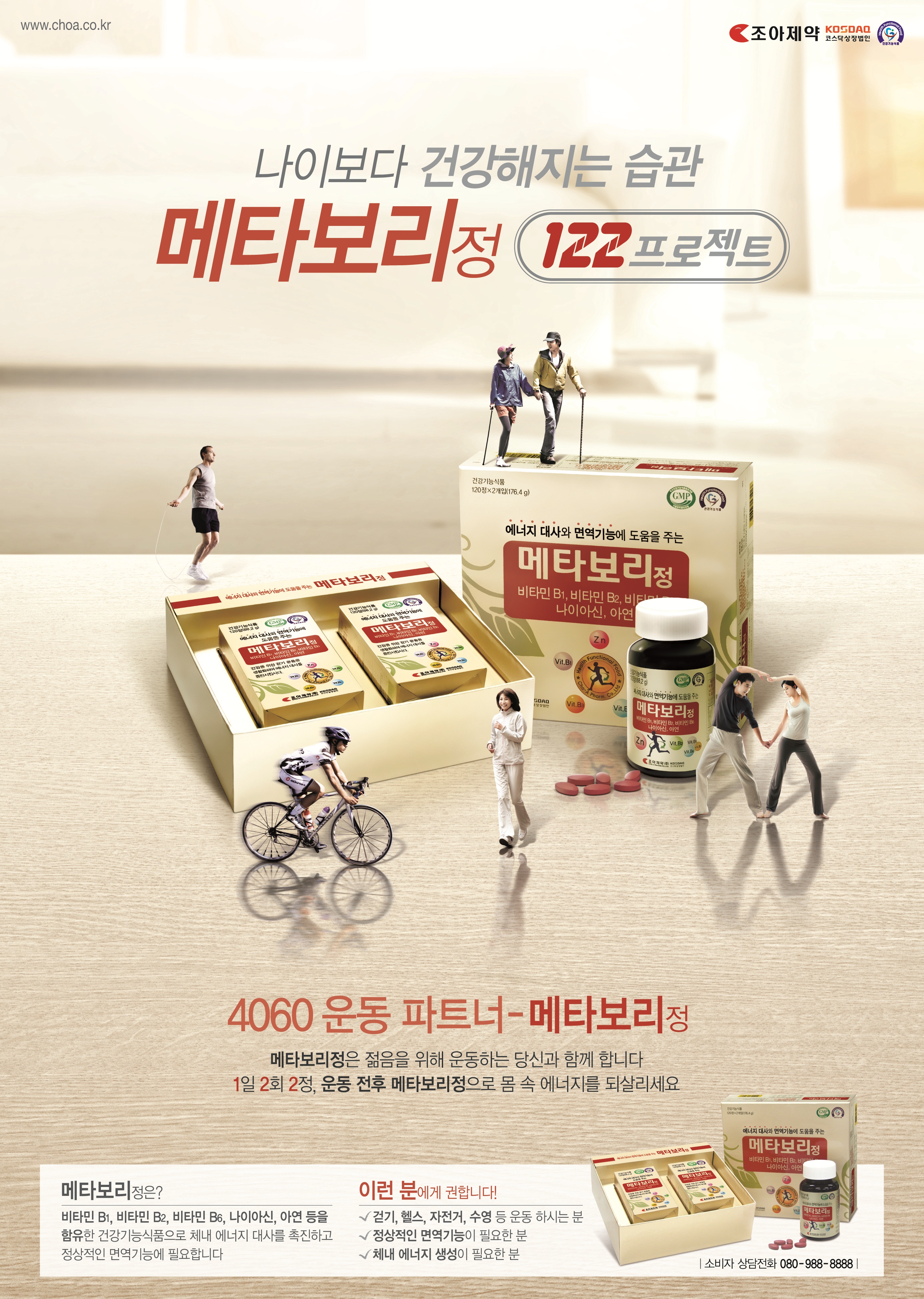 2013 메타보리포스터